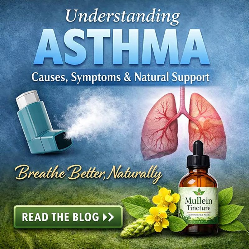 Breathing Challenges and Natural Support Options